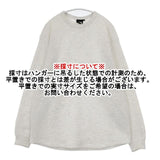 THE NORTH FACE Long-Sleeve Warm Waffle Crew NT62436 長袖Ｔシャツ カットソー ロンＴ ライトグレー メンズ ザノースフェイス【中古】5-1127T∞