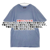A.P.C. コットンリネン XS 24184-1-92631 半袖Ｔシャツ カットソー ライトブルー メンズ アーペーセー【中古】6-0507S∞