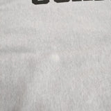 Buzz Rickson's/BEAMS 別注 USAFA BR69197BM サイズL 裏毛 スウェット ライトグレー メンズ バズリクソンズ/ビームス【中古】5-1226T♪