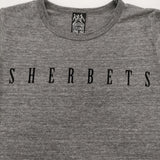 SEXY STONES RECORDS SHERBETS 浅井健一 セクシーストーンズフィーリングズ 半袖Ｔシャツ カットソー グレー ユニセックス【中古】6-0512S♪