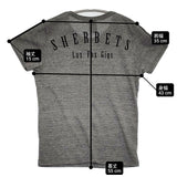 SEXY STONES RECORDS SHERBETS 浅井健一 セクシーストーンズフィーリングズ 半袖Ｔシャツ カットソー グレー ユニセックス【中古】6-0512S♪