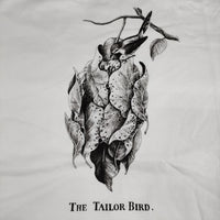 OLDMAN'S TAILOR 新品未使用品 OMT-SA287 THE TAILOR BIRD 定価13000円 サイズ34 Ｔシャツ カットソー ホワイト レディース オールドマンズテーラー【中古】4-0612S☆