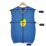 AWAKE NY アウェイクニューヨーク LEMON VEST ノースリーブニット ベスト ブルー メンズ【中古】5-0312M∞
