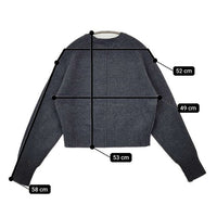 SLOBE IENA echecs クルーネックプルオーバー 定価12100円 ウール セーター ニット 24AW チャコールグレー レディース スローブイエナ【中古】5-1002T∞