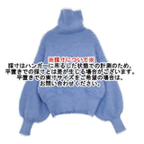 adam et Rope AER ハイネック セーター ニット ライトブルー レディース アダムエロペ【中古】5-1009T∞
