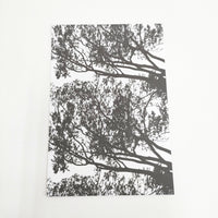 marimekko ポストカード99枚セット その他雑貨 多色 レディース マリメッコ【中古】5-0915G◎