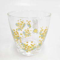 miffy ミッフィー 未使用 フラワーミッフィー フリーグラスセット ミモザ グラス クリア レディース【中古】5-0915G◎