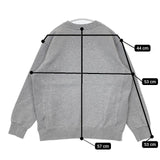 THE NORTH FACE N62241R PLAIN LOGO CREW トレーナー 裏起毛 スウェット グレー メンズ ザノースフェイス【中古】5-1225T∞