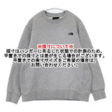 THE NORTH FACE N62241R PLAIN LOGO CREW トレーナー 裏起毛 スウェット グレー メンズ ザノースフェイス【中古】5-1225T∞