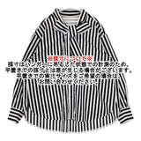 GRACE Class タフタストライプブラウス 定価39600円 長袖シャツ 24AW ブラック ホワイト レディース グレース クラス【中古】6-0228M∞
