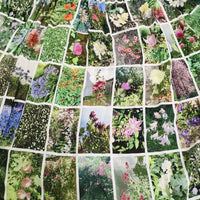 agnes b. 新品 Instagram fleurs フォトプリントギャザーロングスカート 2 25SS ホワイト グリーン レディース アニエスベー【中古】5-1001M♪
