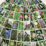 agnes b. 新品 Instagram fleurs フォトプリントギャザーロングスカート 2 25SS ホワイト グリーン レディース アニエスベー【中古】5-1001M♪
