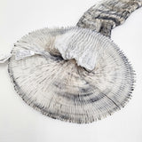 BUNZABURO なみなみ模様の輪スカーフ 絞り加工 定価33000円 シルク100％ ホワイト ブラック ブンザブロウ/片山文三郎商店【中古】5-1022G♪