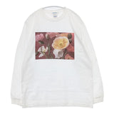 MAY/FOOL メイフール 花柄プリント 長袖Ｔシャツ カットソー ロンＴ ホワイト レディース【中古】6-0218M∞
