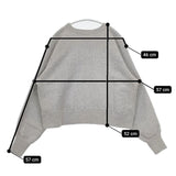 PHEENY Athletic Fleece Long Sleeve 定価26400円 裏起毛 トレーナー スウェット 23AW グレー レディース フィーニー【中古】6-0122T∞