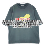 mina perhonen liquide 定価15400円 zs8525 半袖Ｔシャツ カットソー グリーン レディース ミナペルホネン【中古】6-0614S∞