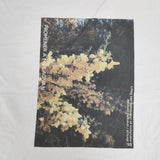 Discoat ボタニカルアソートフォトTシャツ DPZ2051306A0013 半袖Ｔシャツ カットソー ホワイト レディース ディスコート【中古】6-0608S∞