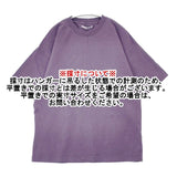 Discoat ピグメントワンポイント刺繍Tシャツ DPZ2041306A0006 半袖Ｔシャツ カットソー パープル レディース ディスコート【中古】6-0608S∞