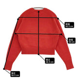 SLOBE IENA echecs クルーネックプルオーバー定価12100円 セーター ニット 24AW レッド レディース スローブイエナ【中古】6-0207T♪