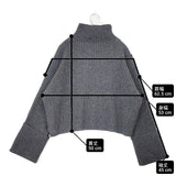 sacra BOILED LAMBWOOL RIB TOP 定価38500円 124635081 サイズ38 リブ ウール セーター ニット グレー レディース サクラ【中古】6-0917T∞