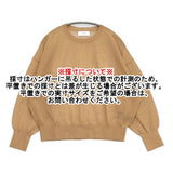 SLOBE IENA シアーニットプルオーバー 定価10450円 セーター ニット 24SS キャメル レディース スローブイエナ【中古】6-0612M♪