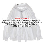 JOURNAL STANDARD LUXE 【Ginny’s】BL 定価20900円 ストライプ フリル ボウタイ リボン ブラウス シャツ 25AW ホワイト レディース ジャーナルスタンダード ラックス【中古】6-0806M♪