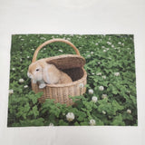pot and tea デジタルプリント フォトプリント うさぎ コットン 日本製 サイズF 半袖Ｔシャツ カットソー ホワイト レディース ポットアンドティー【中古】6-0818S△