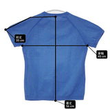 THE NORTH FACE S/S Globefit Logo Tee NTW11822 ポリエステル 日本製 半袖Ｔシャツ カットソー ブルー レディース ザノースフェイス【中古】6-0807S△