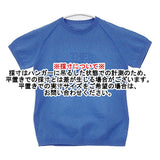 THE NORTH FACE S/S Globefit Logo Tee NTW11822 ポリエステル 日本製 半袖Ｔシャツ カットソー ブルー レディース ザノースフェイス【中古】6-0807S△