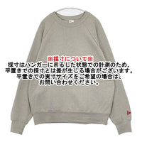 Healthknit ラグラン 裏起毛 トレーナー サイズL スウェット グレー メンズ ヘルスニット【中古】5-0928T△