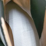 MAISON MARGIELA スウェード チェルシーブーツ サイズ41 サイドゴア ブーツ ブラック メンズ メゾンマルジェラ【中古】5-1125T◎